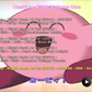 Hoshi no Kirby (Kirby of the Stars) Complete Subbed Series DVD - RetroToonShop