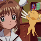 Card Captor Sakura Seasons 1-2 + Movies 1-2 Dual Audio DVD - RetroToonShop