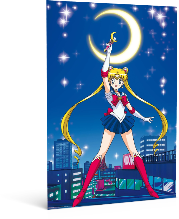 Sailor Moon Anime Poster (11 x 17) 28x43 cm (Copy)