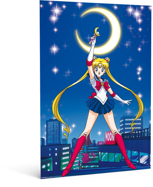 Sailor Moon Anime Poster (11 x 17) 28x43 cm (Copy)